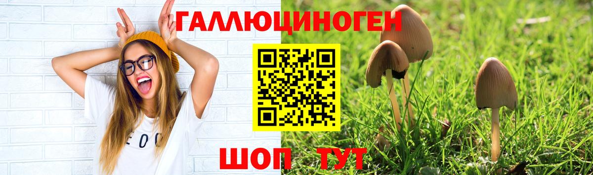 Псилоцибиновые грибы Magic Shrooms  Галлюциногенные грибы MAGIC MUSHROOMS  Кстово  Вход с VPN 