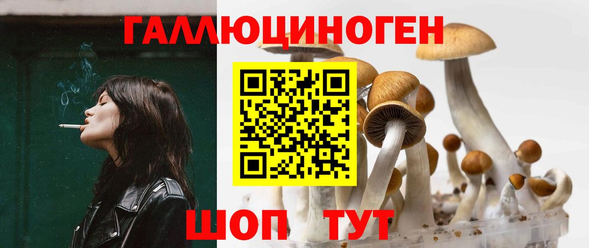 Псилоцибиновые грибы прущие грибы Кстово